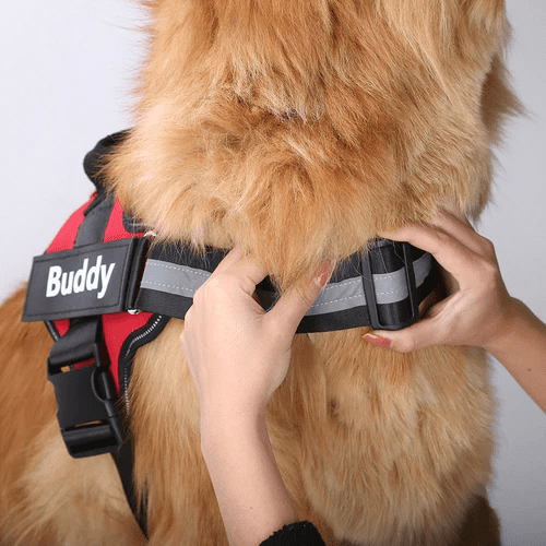 Coleira peitoral para cachorro - ajustável e personalizável